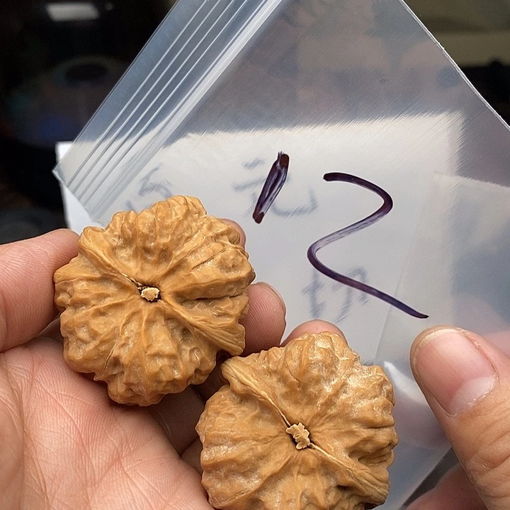 吊坠文玩核桃7565.6753375375