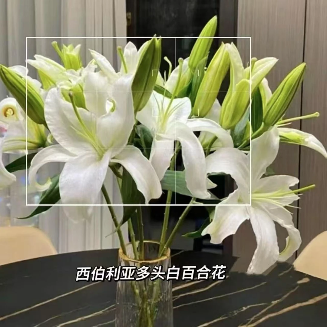 【家居鲜花】9.9元4支香水百合双头香水百合颜色随机介意者慎拍（仅支持团结店自取）