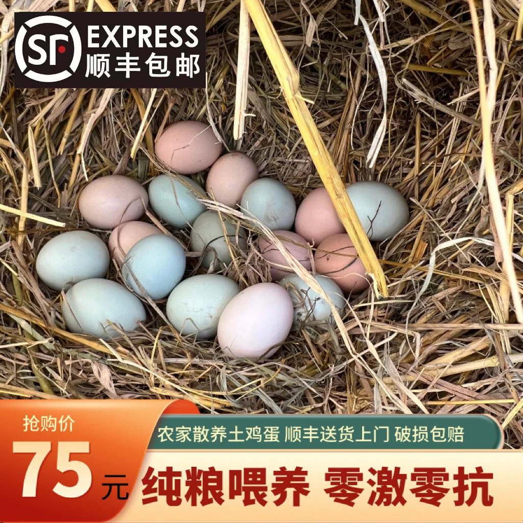 【正宗土鸡蛋】农家纯粮散养土鸡蛋 鲜鸡蛋50枚装 单个40-50克