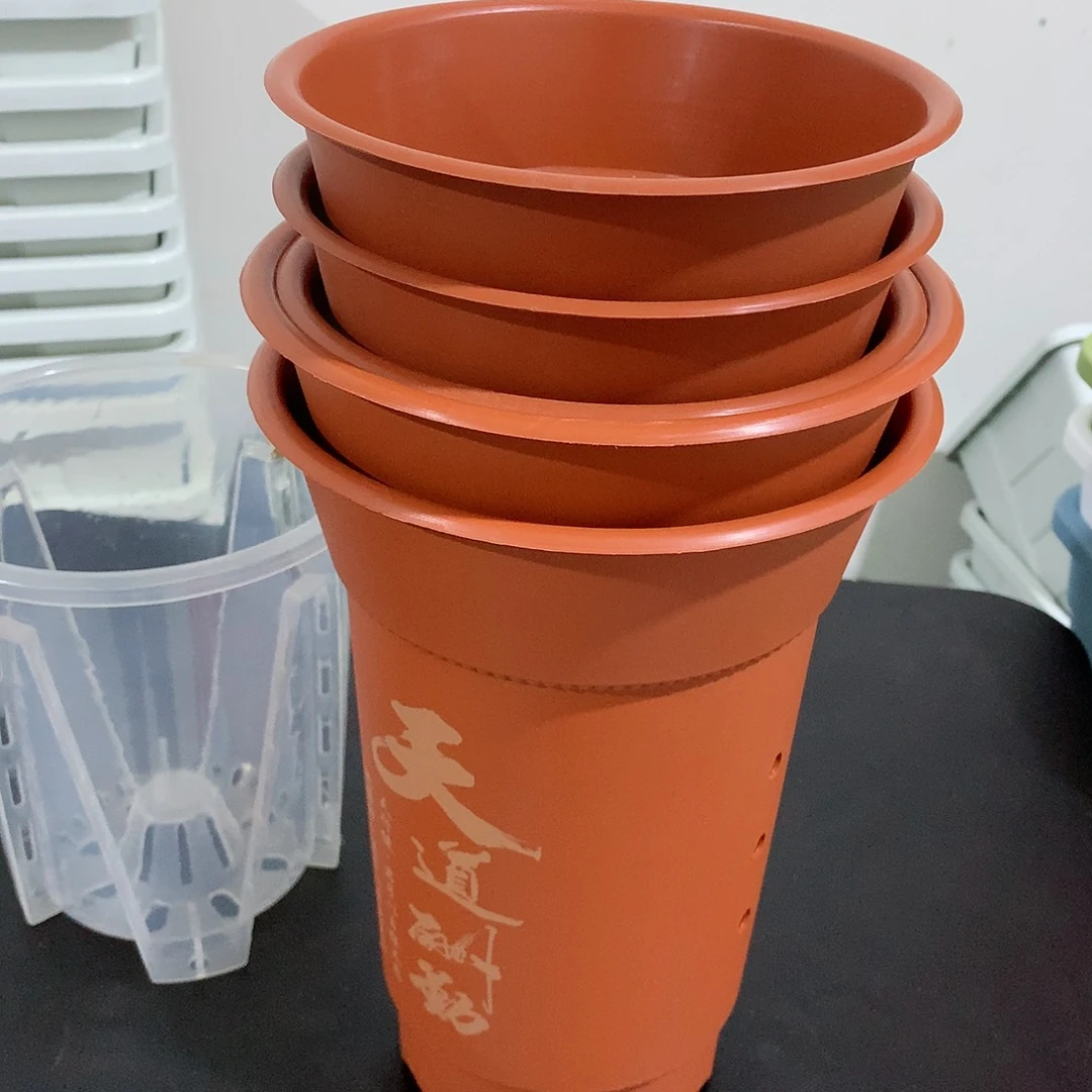 树脂兰花3大2小无托