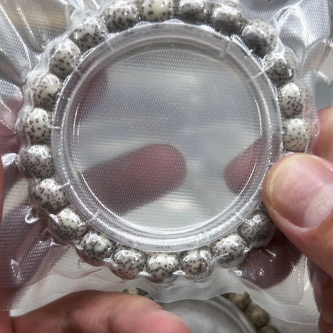 星月菩提手串133入门灰星月菩提单圈1.0