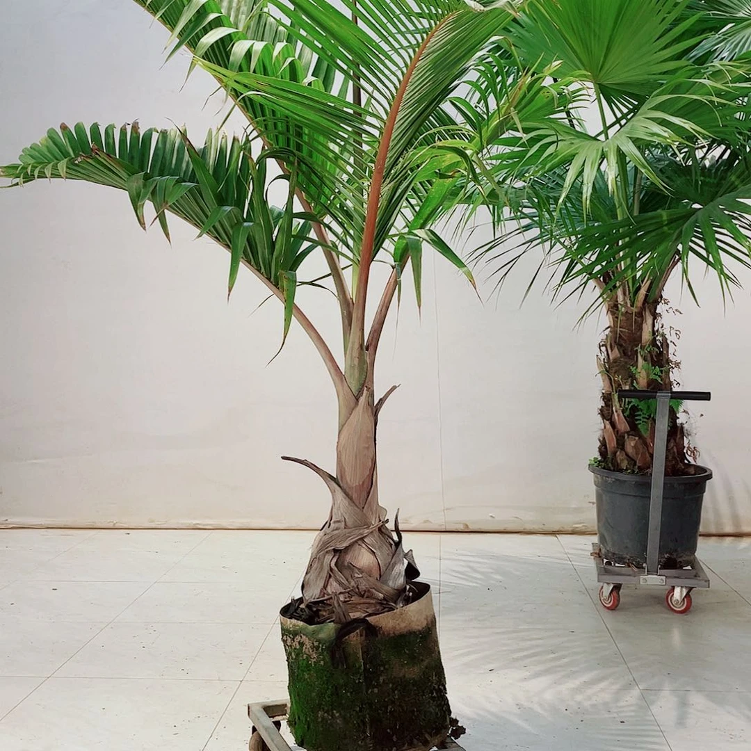 熊*慨14678990000000009