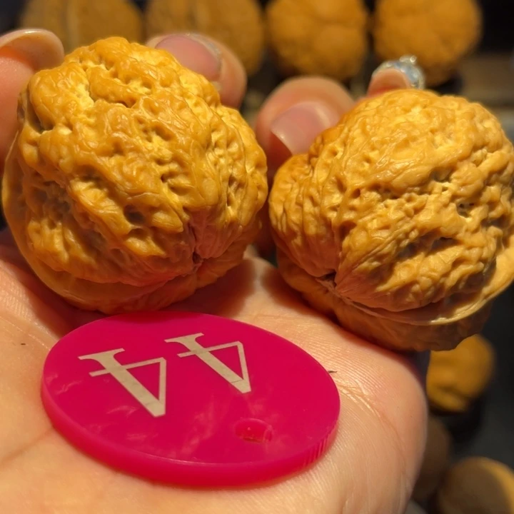 蜡***咘聚宝金蟾核桃尺寸40