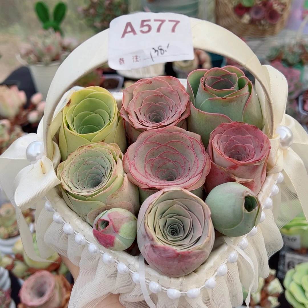 577爱心花篮混色精品玫瑰组合。