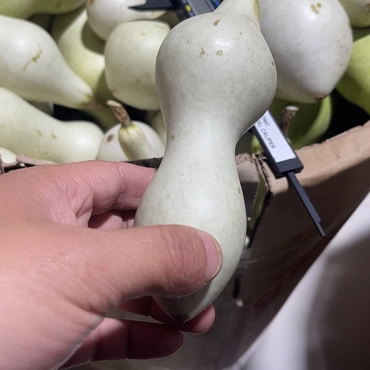 非洲紫檀（红花梨）猪***弟