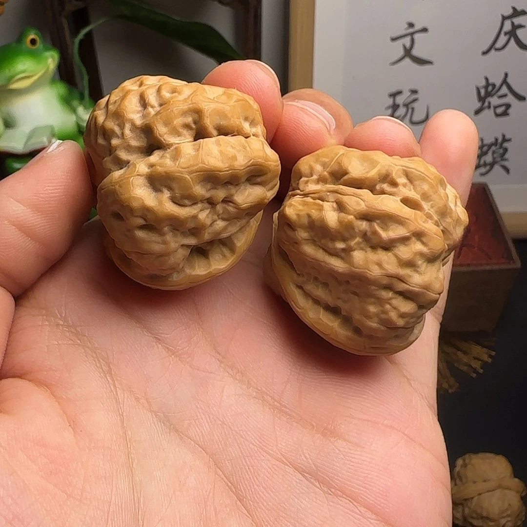 38尺蛤蟆头111111