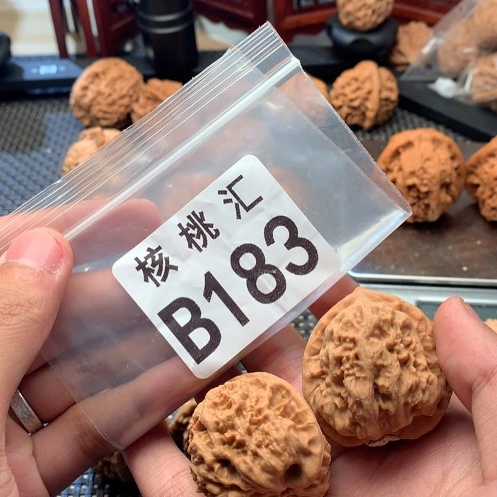 阿***龙文玩核桃吊坠野蝉