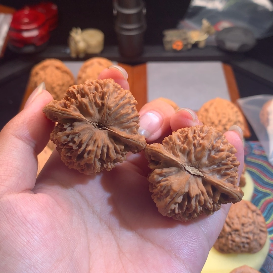 西***儿把件文玩核桃满天星42