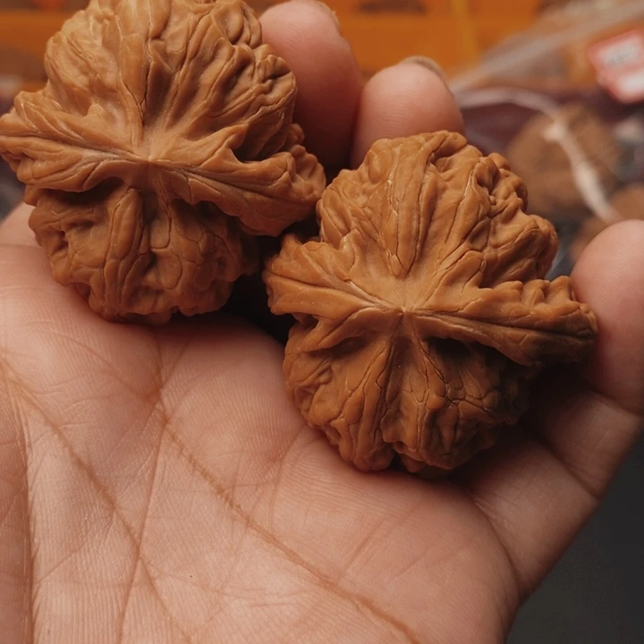 核桃红锦鲤42尺核桃