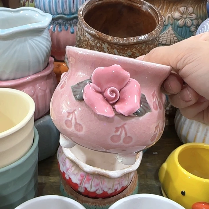 不清楚问客服凑9块包邮，多肉绿植