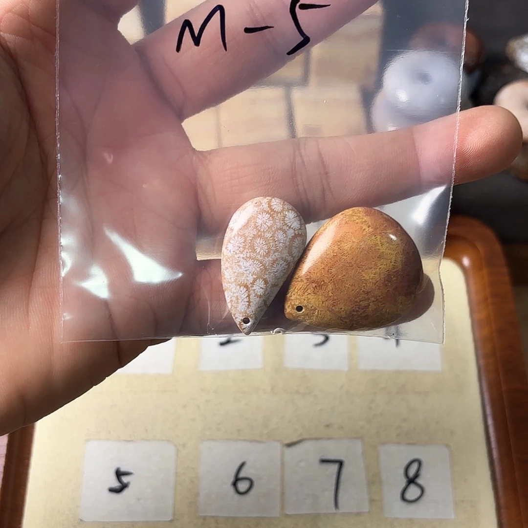 硅化玉颈饰未镶嵌M****l