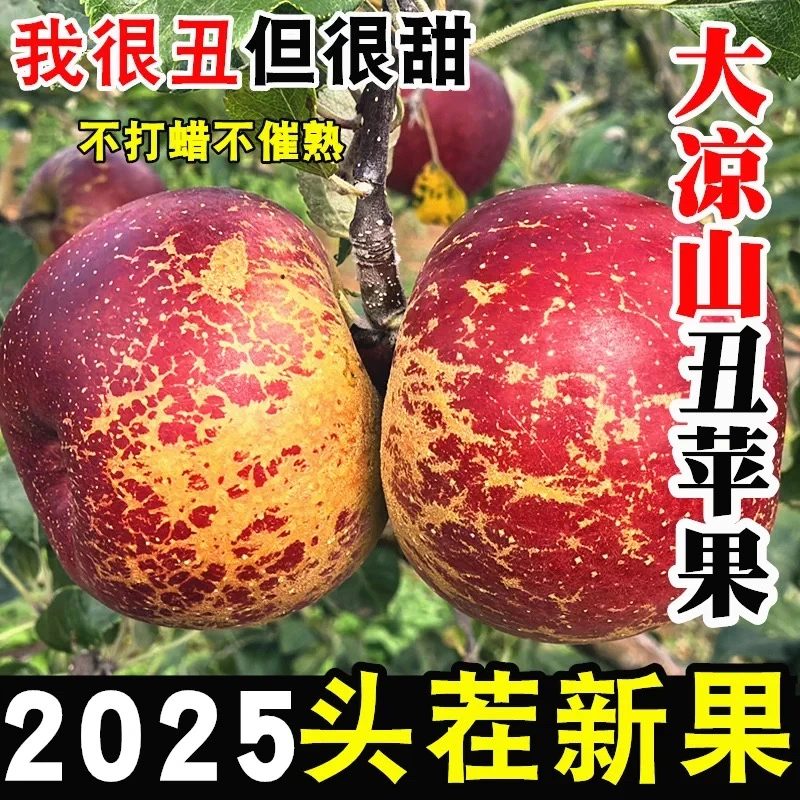 【京东快递】高书记四川大凉山丑苹果糖心苹果香甜脆4.5斤