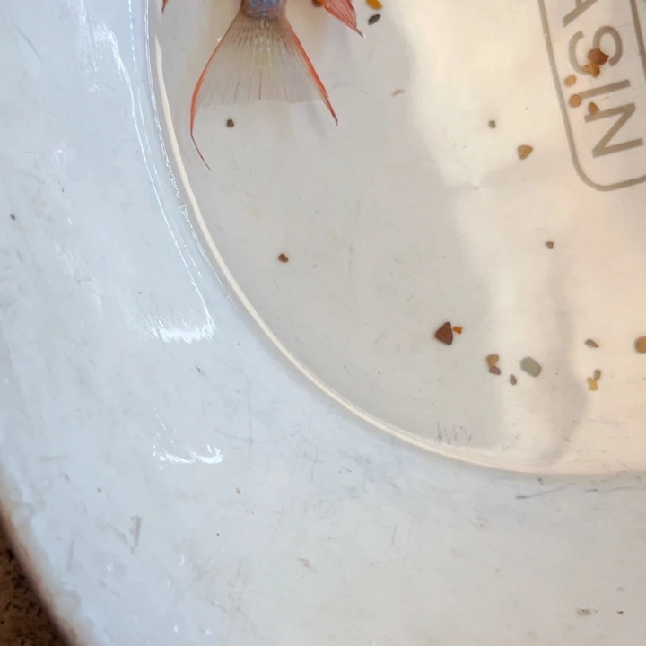 慈鲷王****湖玻利维亚补差价，