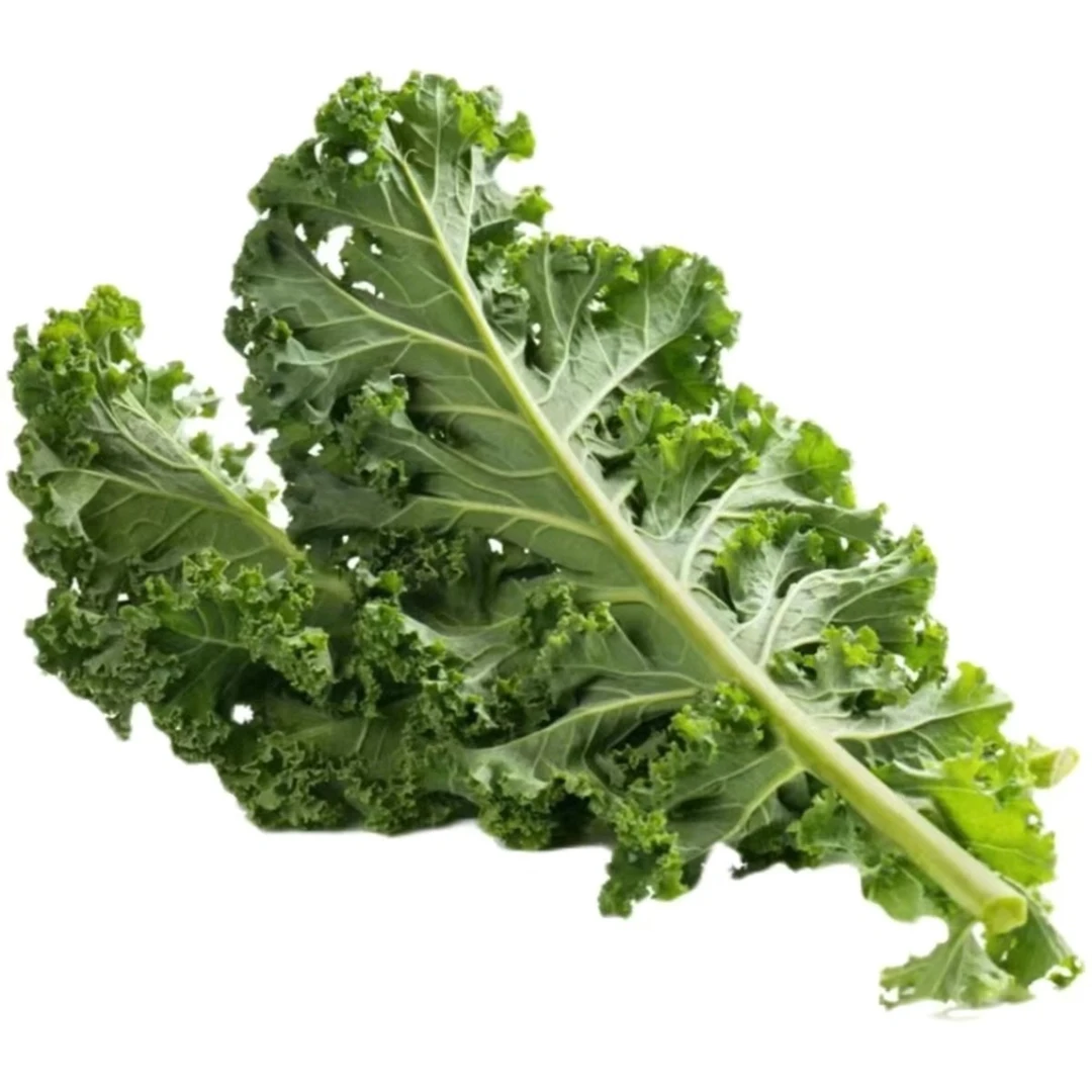 卓卓珍品好物临时茶壶