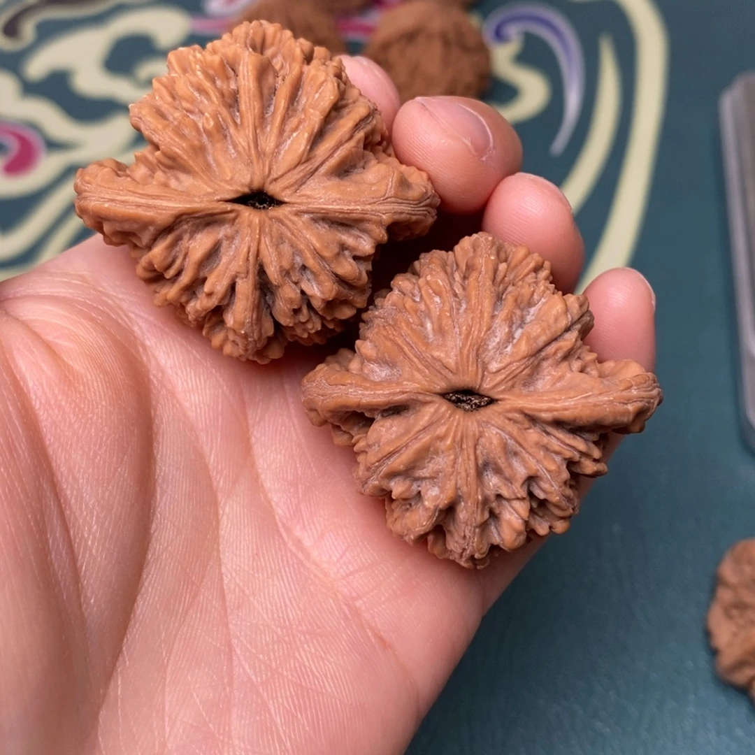 核桃42尺全品麦穗虎头