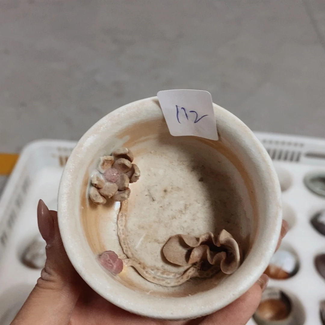 仓播福利活动开始678