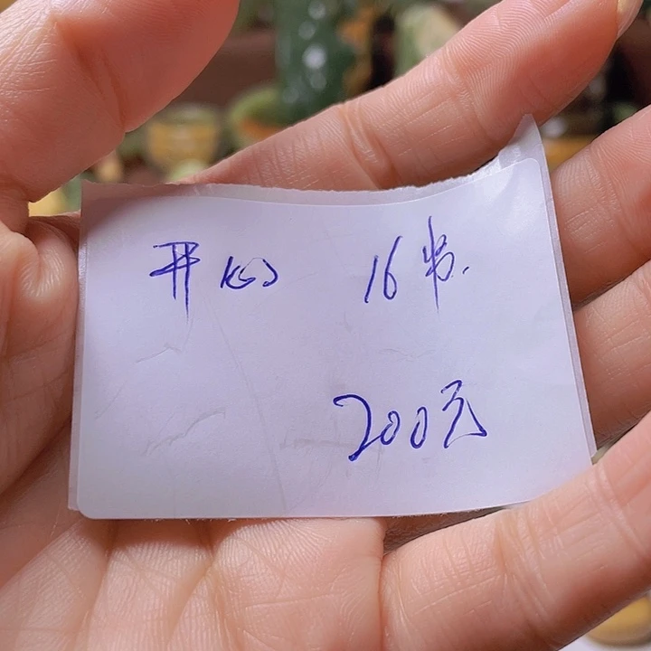 未镶嵌手串岫岩河磨玉（透闪石质玉）开*