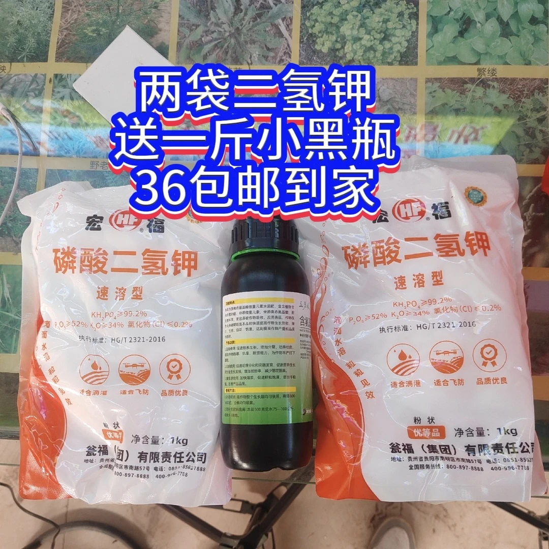 两袋二氢钾送一瓶小黑瓶包邮到家