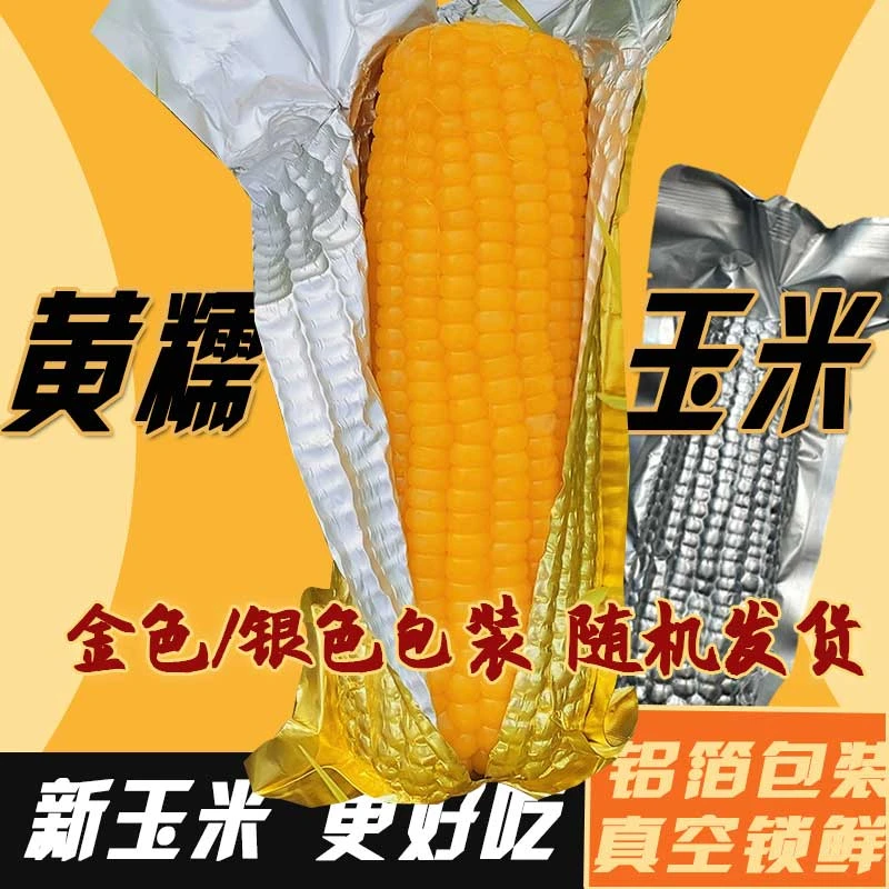 【试吃2根】25年头茬新玉米黄糯软糯香粘真空锁鲜~玉米均重250~275g