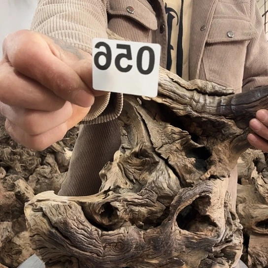 静**轩紫砂噜啦啦啦啦啦啦