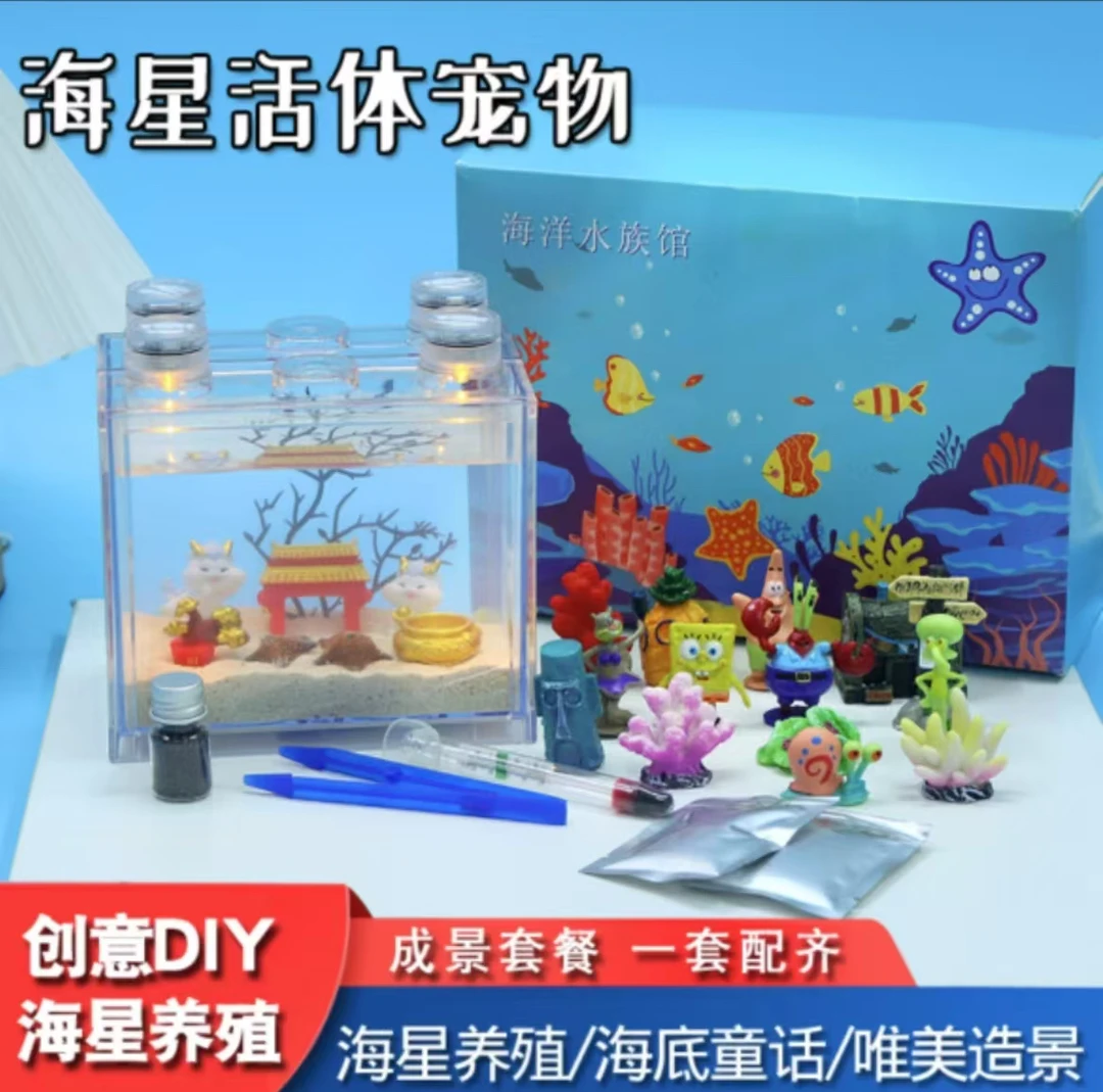 海星饲养套餐礼盒装桌面小海缸六一儿童节礼物