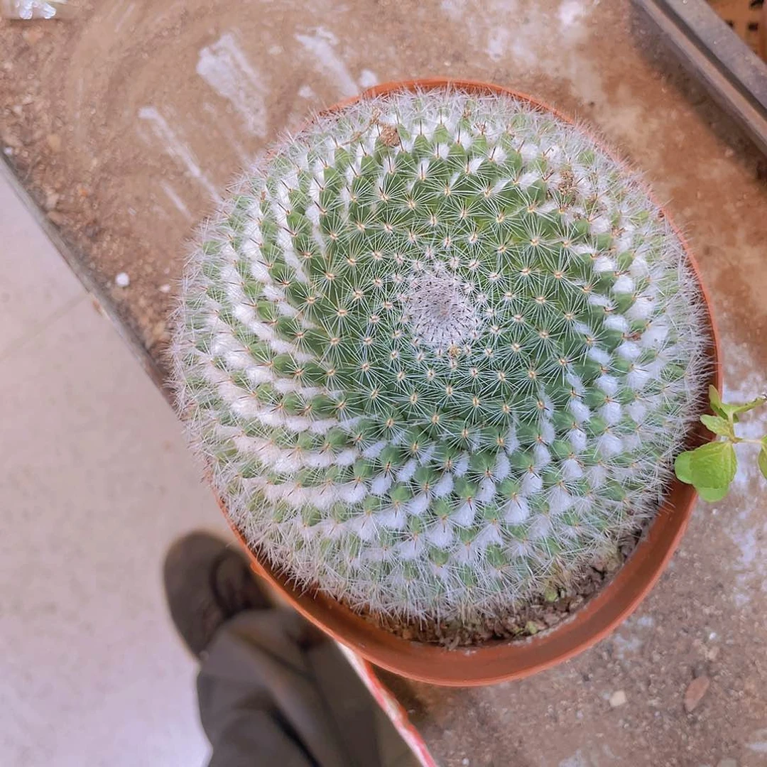 无花朵?****顺风顺水！顺风顺水