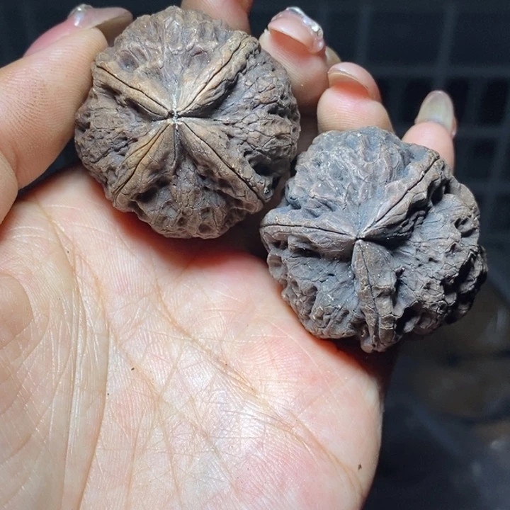 核桃云南野生铁核桃70号36m