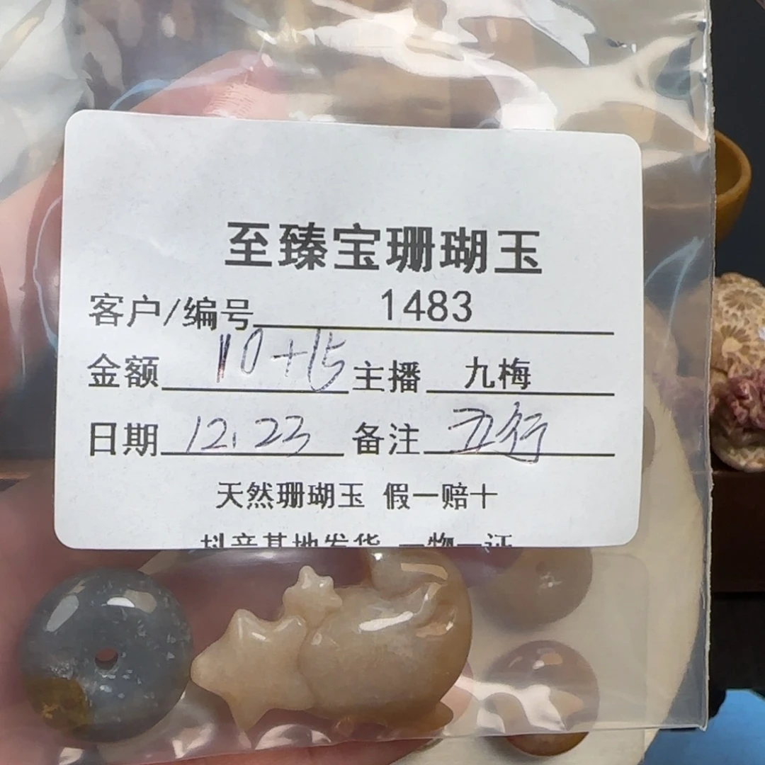 五***行硅化玉未镶嵌颈饰