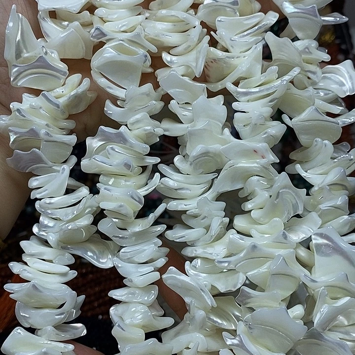 玛瑙/玉髓未镶嵌珠宝半成品天然马蹄螺一条