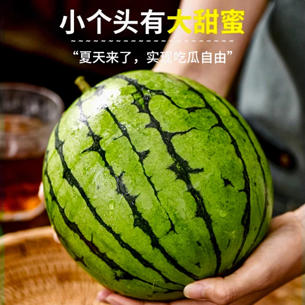 网红爆款糖丸西瓜/皮薄如纸/清甜爆汁/甜脆多汁/迷你/脆爽多汁