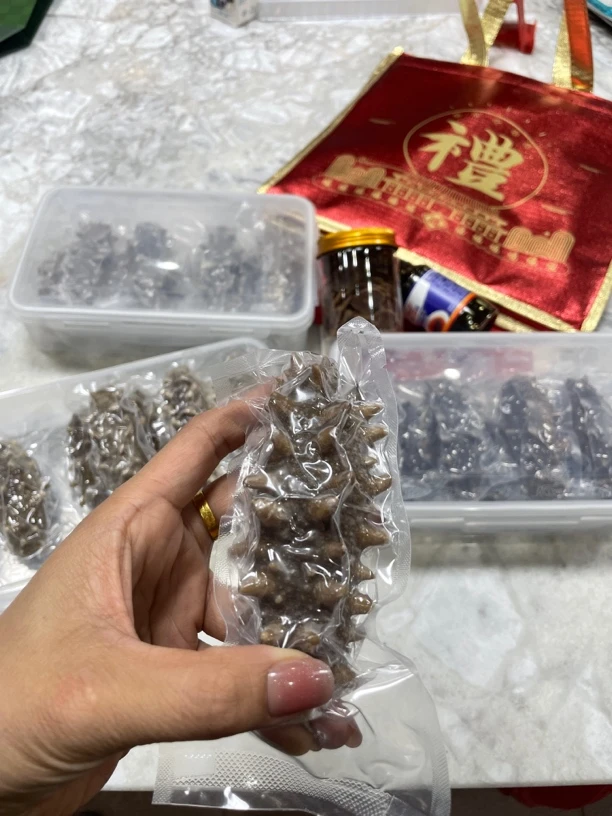 大连鲜食高刺参每盒（450至500克）6只/8只/10只/12只 送礼佳品
