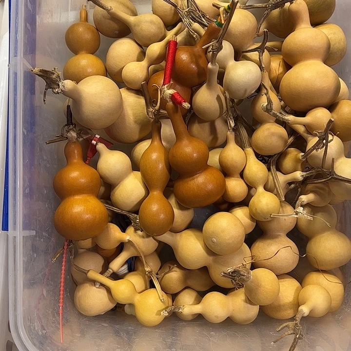 ****安有机玻璃蚂蚁蚂蚁蚂蚁蚂蚁