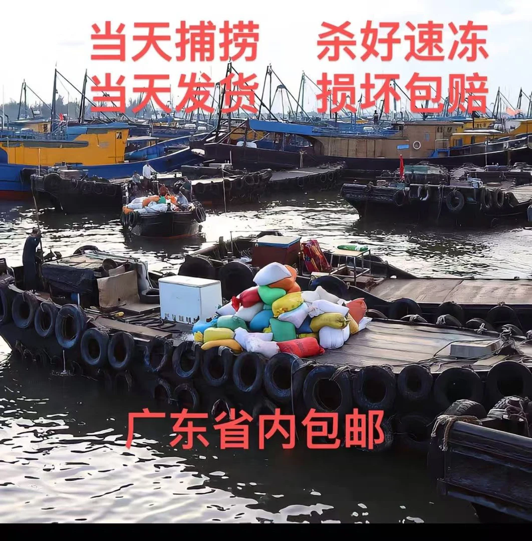 惠来神泉本港自选鱼