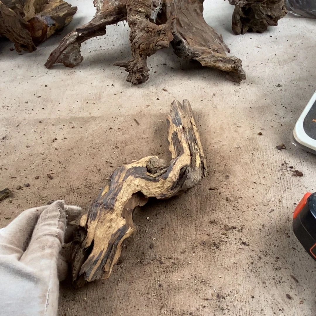 广***鹅黄花梨/降香黄檀降香黄檀黄花梨