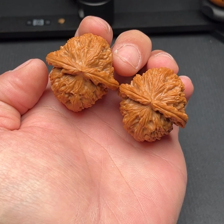 文玩核桃把件白狮子38