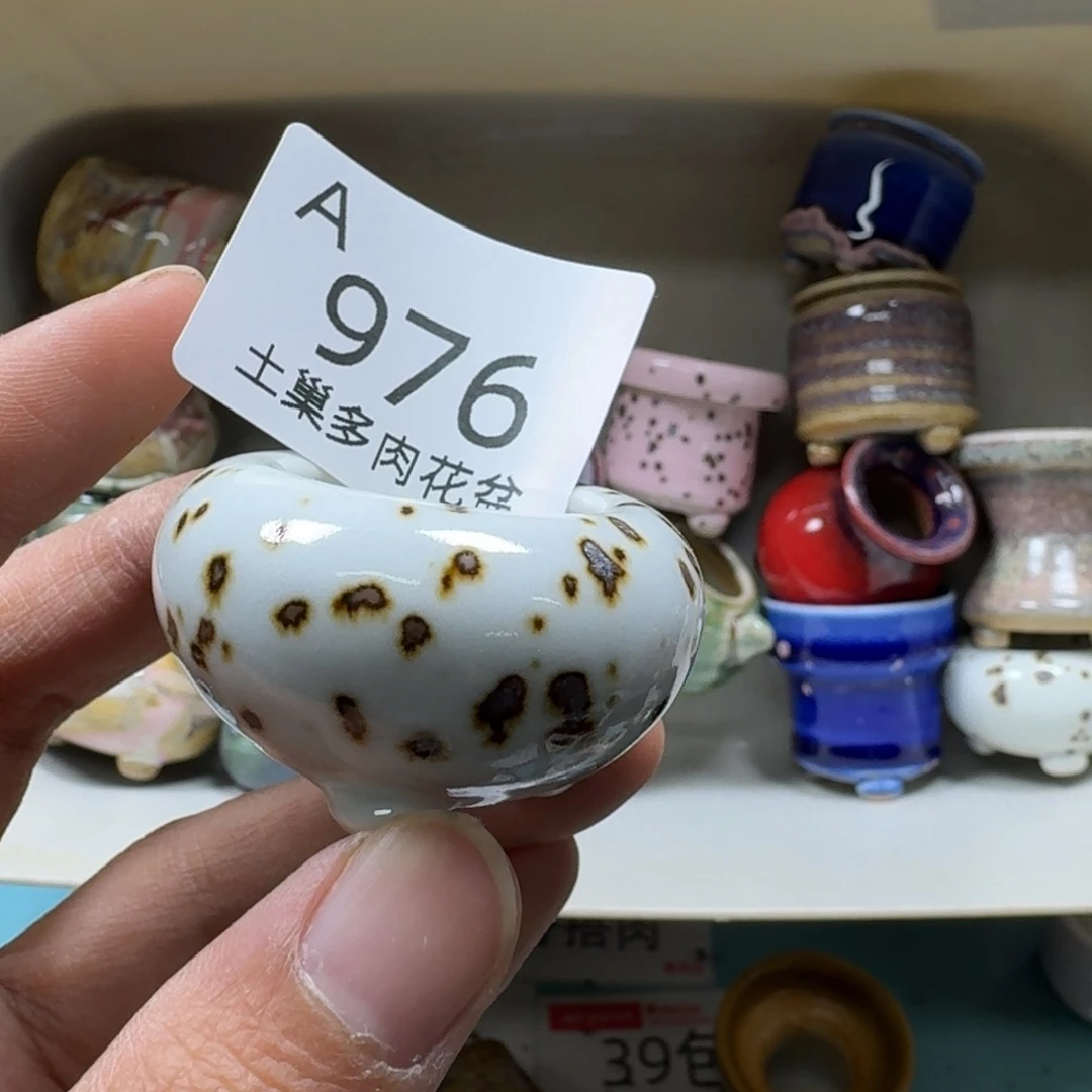 知***.陶瓷艺术品设计与制作