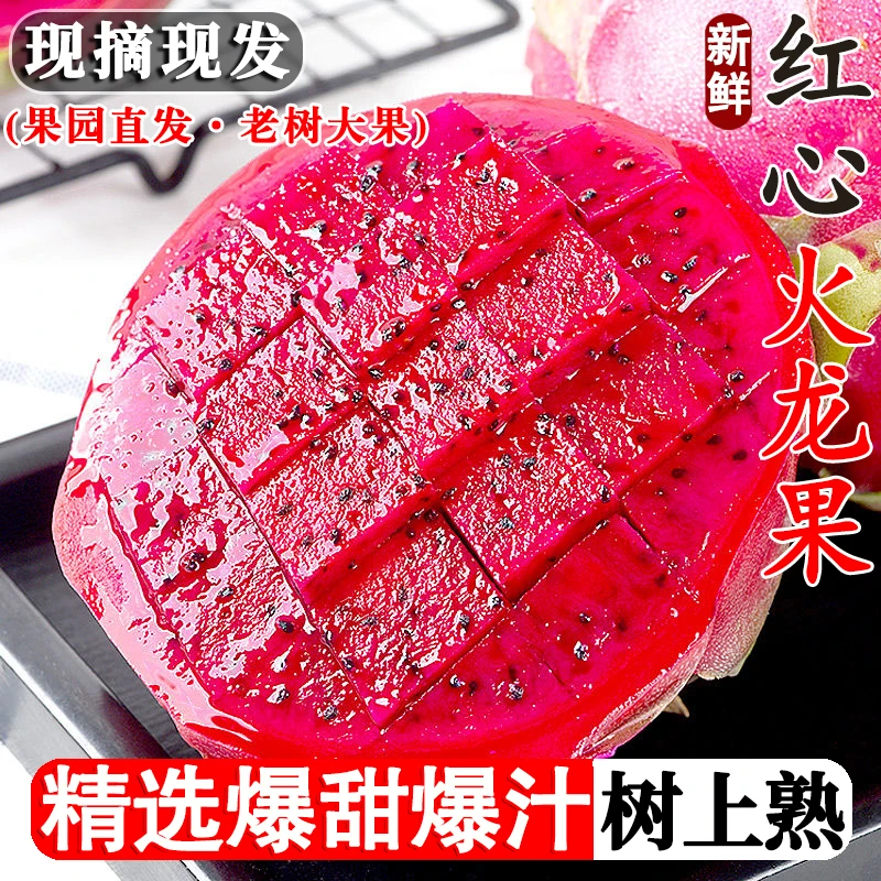 正宗广西金都一号红心火龙果带箱5斤