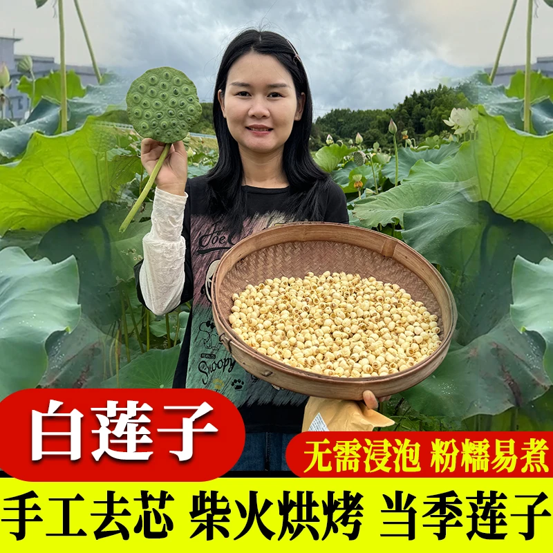 【陈超超推荐】去芯白莲子柴火烘干粉糯易煮