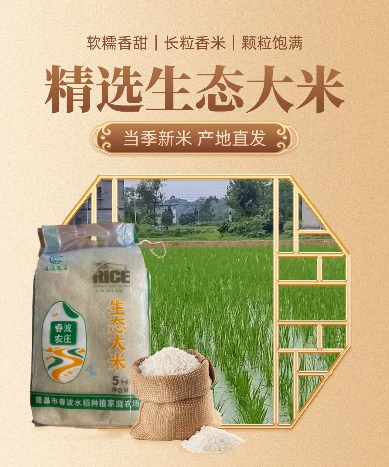 四川甜城原生态当季新米基地种植大米