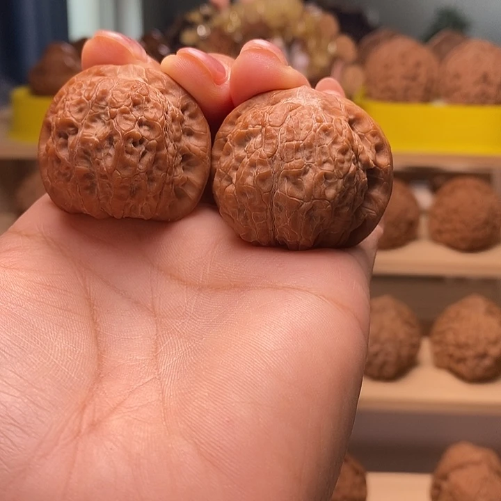 万***成核桃38尺寸的血麒麟