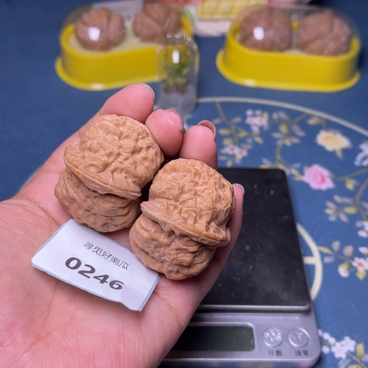 文玩核桃把件南瓜墩43.0246