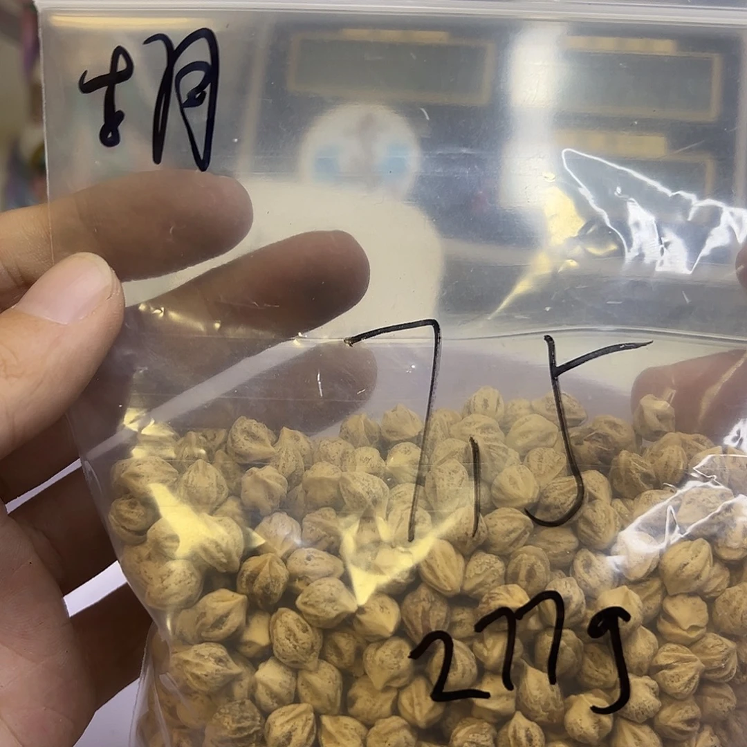 @****吊坠柏香籽/百香籽