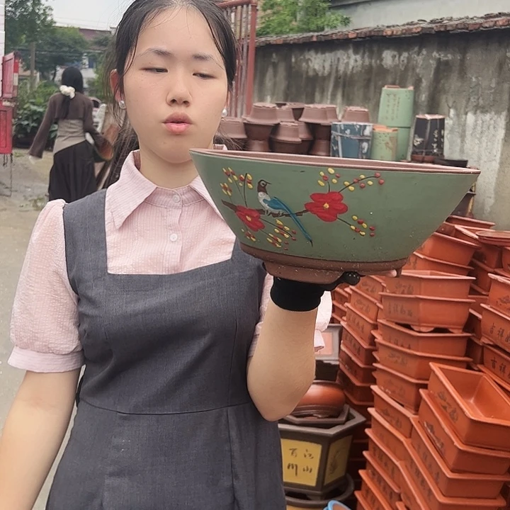 绿斗盆点菜大花盆花盆花盆