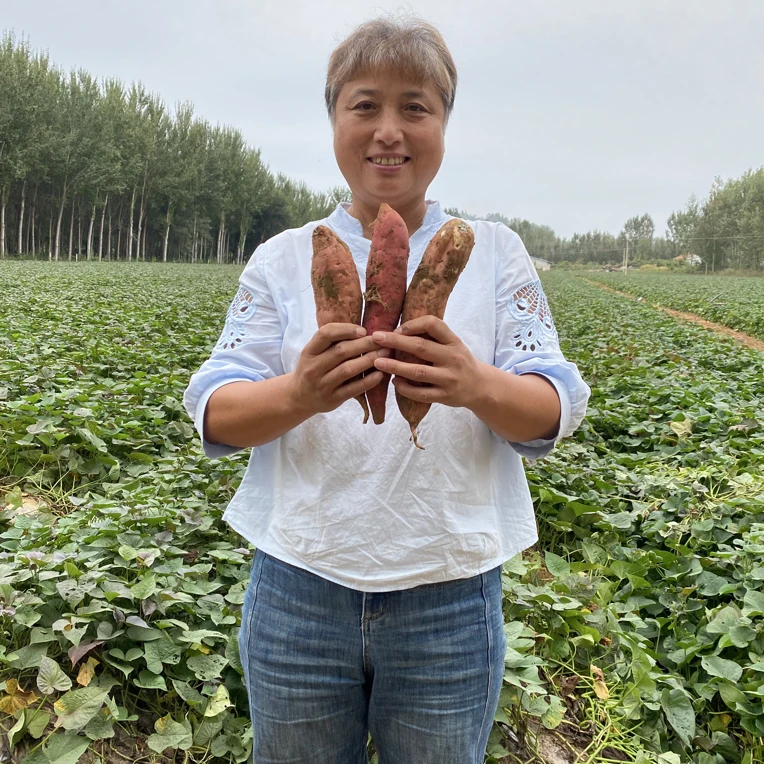 平谷本地沙土地烟薯25,烤吃流油溜蜜