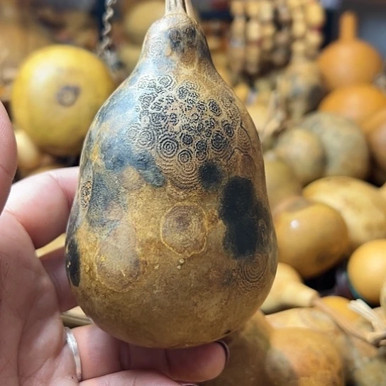 用****4葫芦葫芦葫芦葫芦