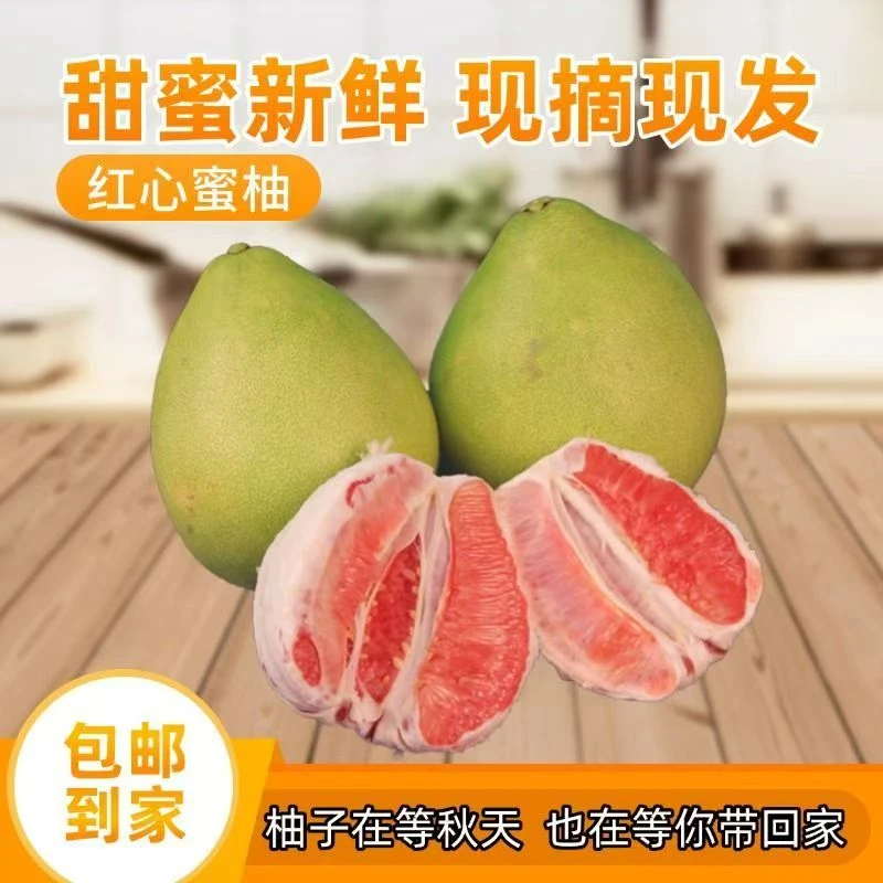 【到手五斤】湖北蜜柚红心蜜柚红柚超甜新鲜柚子湖北发货A