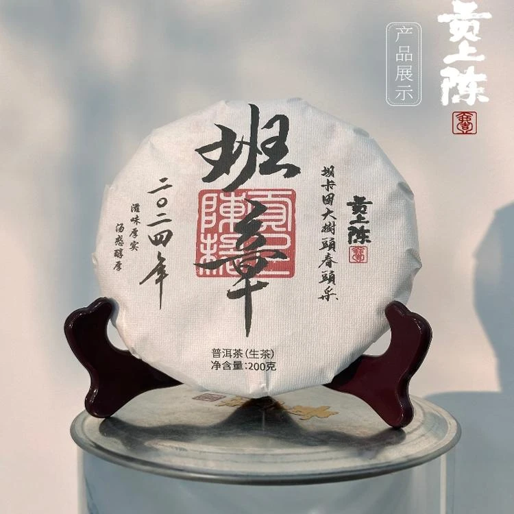 【满口都是香甜】2024年班章坝卡囡大树头春头采干仓存放得当生茶饼