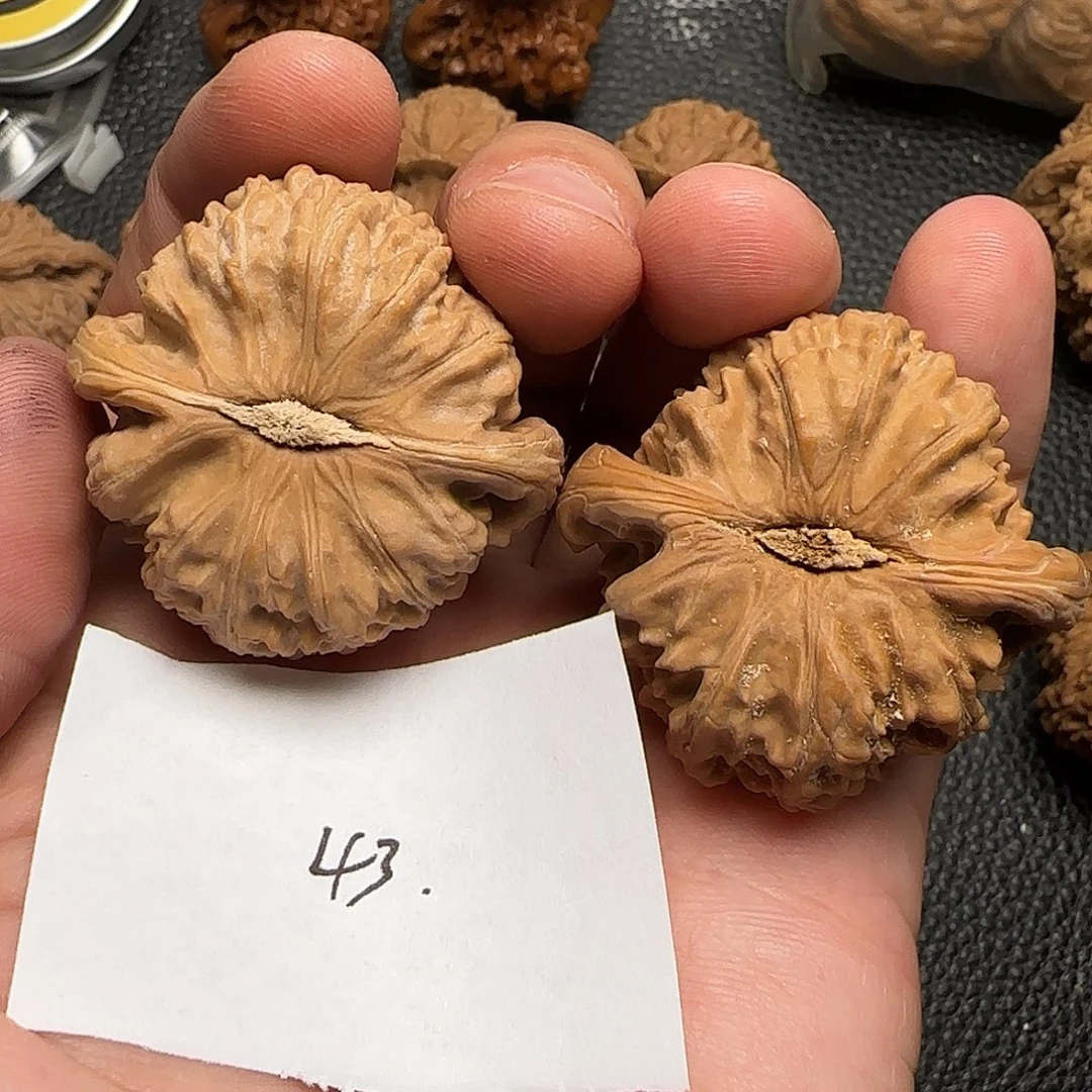 死****吊坠文玩核桃43白狮子43尺