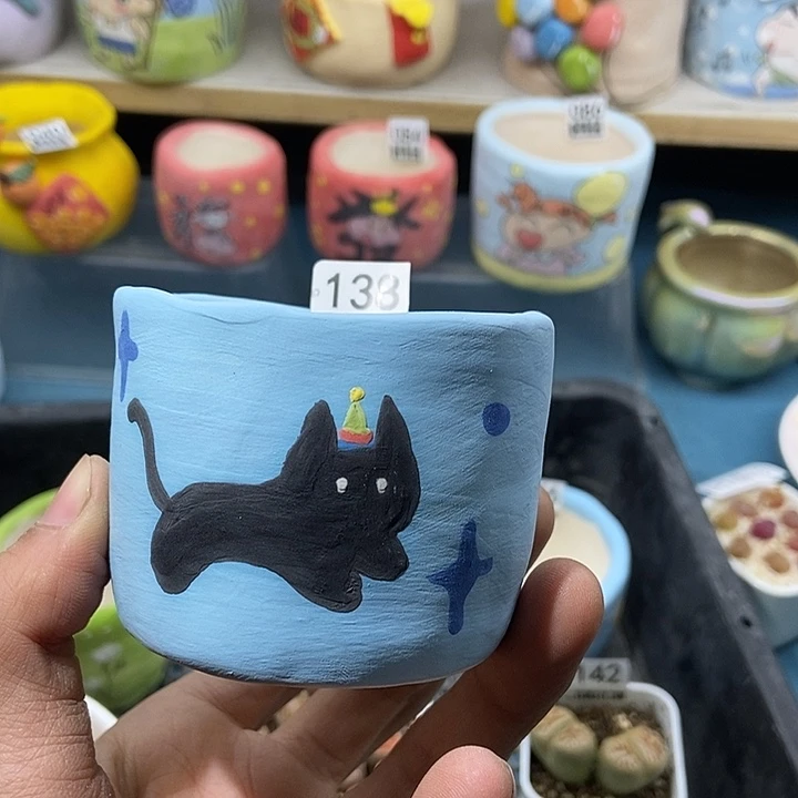 138大舅生石花肉锥多肉