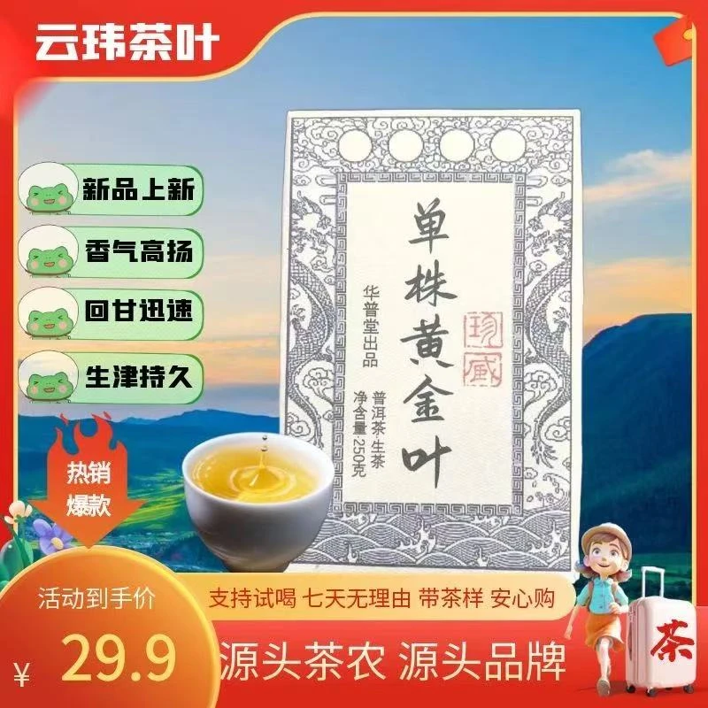 单株黄金叶 2024年 普洱【生茶】250克